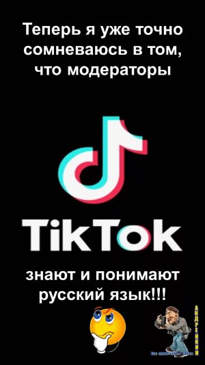 Теперь я уже точно сомневаюсь в том,что модераторы тик ток знают и понимают русский язык