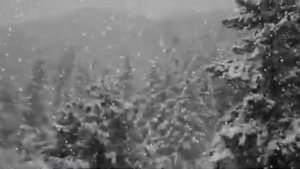 Лидия Русланова  _  Землянка  _