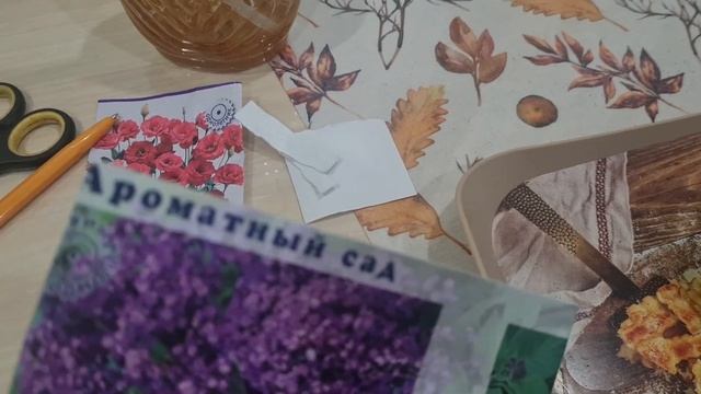 366 Посев Эустомы 30.11.24г. и Гелиотропа заодно!🌺 смотреть онлайн