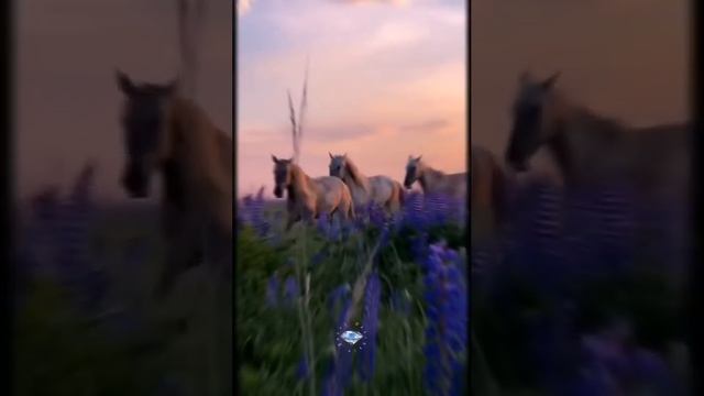 КАК ХОЧЕТСЯ ЖИТЬ.ПЕСНЯ ДЛЯ ВАС. #подпишись #поставьлай?