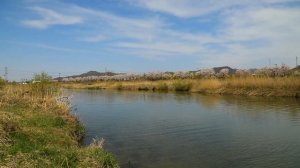 В душе Весна 9