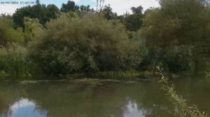 Im Park am Teich. (В парке у пруда)