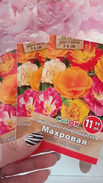 Эшшольция цветы смотреть онлайн