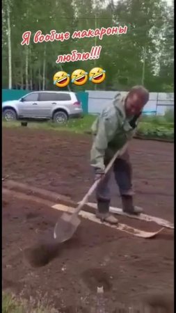 Картоха