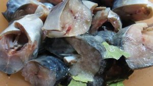 Маринованная скумбрия