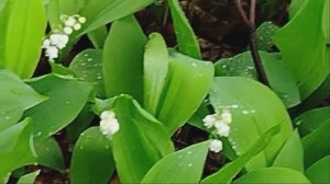💧💧Две капельки💧💧💦💦💦💦💦