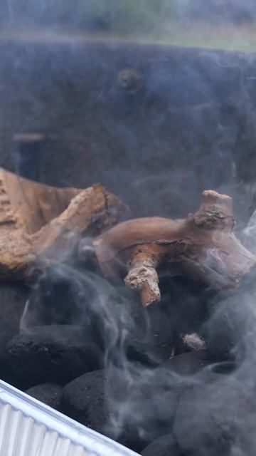 Говядина на вертеле смотреть онлайн