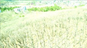 Горные ключи близ реки Уссури (Приморье). Сопка Преображенская. Окрестности курортного городка