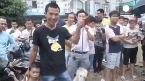 Китай!  Фестиваль собачьего мяса!