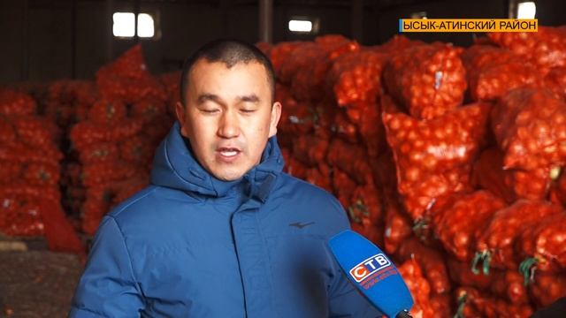 ЗАПРЕТ НА ЭКПОРТ ЛУКА БЕСПОКОИТ ФЕРМЕРОВ