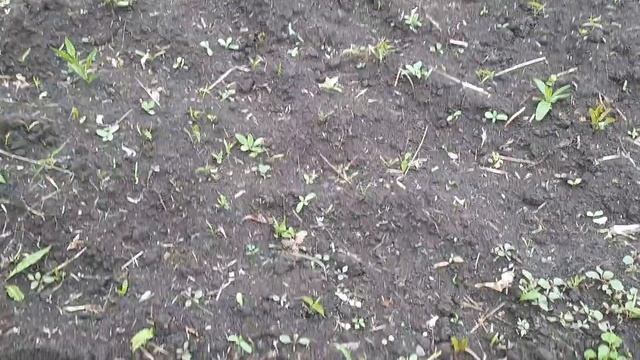 И снова дождь. У меня родился сыночек!🎉🎉🎉 смотреть онлайн