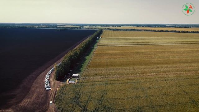 ОТЗЫВ ДИСТРИБЬЮТОРА СЕМЯН / Демо-посев в Тамбовской об