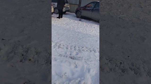 Общий вид смотреть онлайн