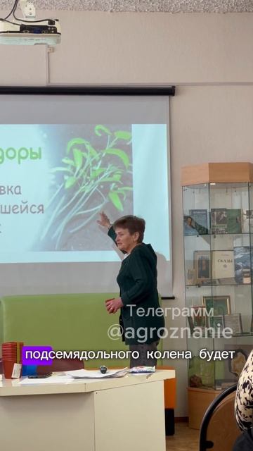 Условия для пикировки томата #томаты #рассада #сад #ого смотреть онлайн