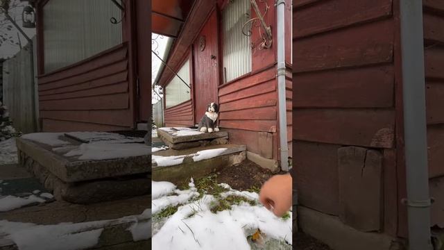 Абиссинская скважина зимой. Правила использования в з смотреть онлайн