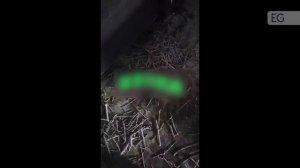 Оборудование для очистки облепихи XYXGT