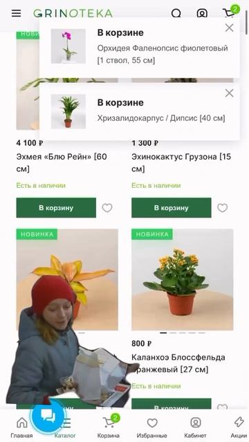 Большое зелёное пополнение!