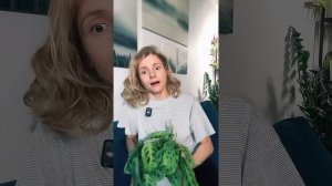 Почему у Мараты мелкие листья? Что делать? #plants #цветы #?