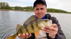 Открылись по щуке и окуню на озере.