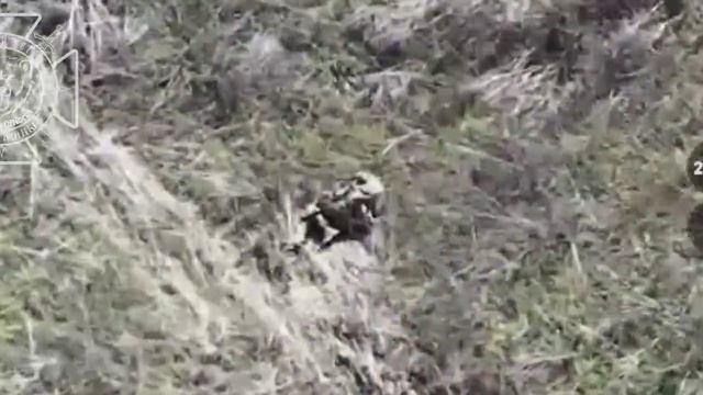 К бэндере на квадроцикле смотреть онлайн