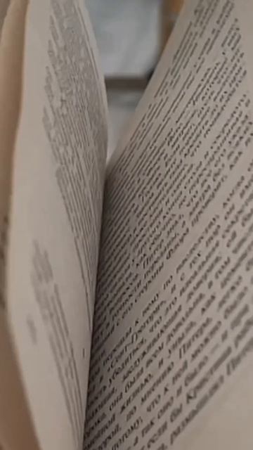 Уютное чтение книги в зимнем саду: вдохновение и мятны