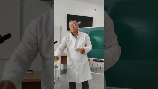 Идентификация и дифференциация бактериальной культу?