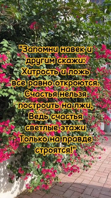 Запомни на век! #отсердцаксердцу #поэзия #стихи #shorts #shor