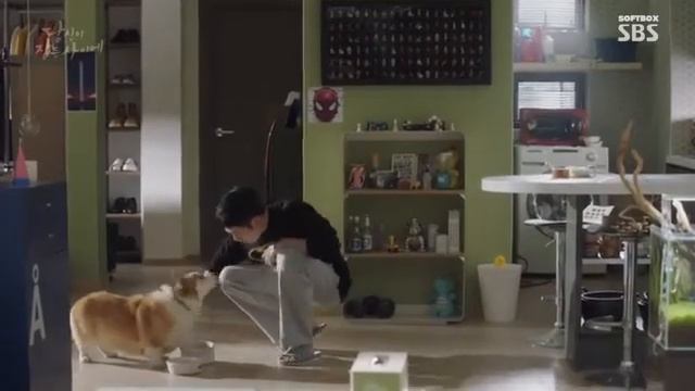 Смешной момент из дорамы "Пока ты спала" смотреть онлайн