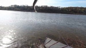 Рыбалка на Оке. Фидер. Серпухов.