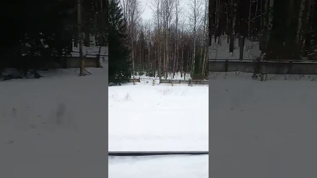 Алла Пугачёва и Кристина Орбакайте Опять метель