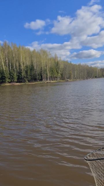 Карп смотреть онлайн