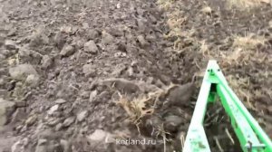 🔥 Культиватор  Kerland KT-210 и плуги Kerland B-2.20 в работе с Dongfen