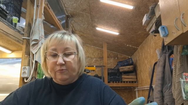 26 марта . Рассада на продажу.  Советы начинающим