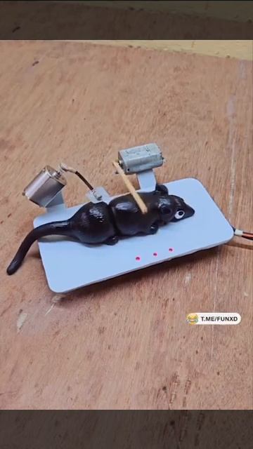 Это точно мышеловка....? смотреть онлайн