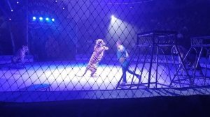 цирк Ярослав Запашный.