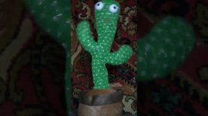 танцующий кактус