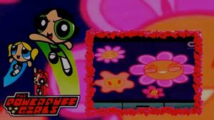 Крутые девчонки мультик суперкрокши Лжец