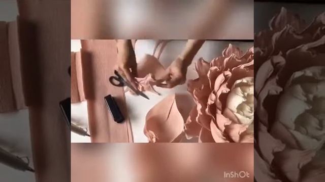 Создание пиона «неженка»