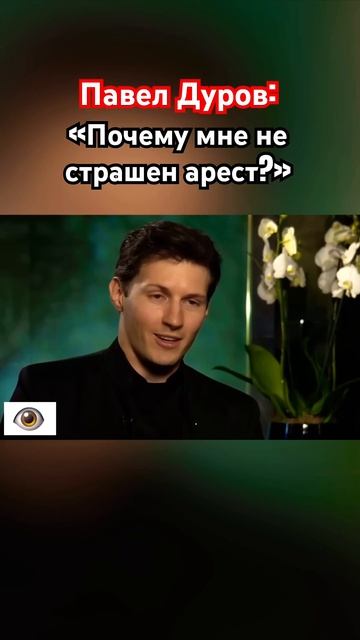 Павел Дуров: «Мне не страшен арест!» #озвучка #знаменит смотреть онлайн
