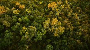 ОХОТА С ПЛЕМЕНЕМ ХАДЗА В ТЕЧЕНИЕ 1 ДНЯ! - ОНИ ЕДЯТ СЫРОЕ