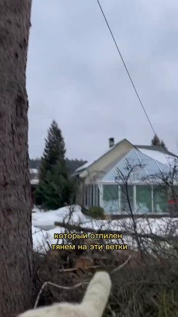 Мягкая посадка дерева #лайфхаки #edit смотреть онлайн