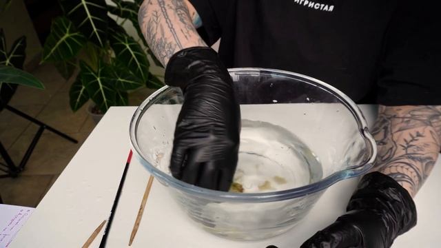 Как адаптировать КЛОН алоказии и монстеры смотреть онлайн