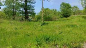 мир без людей. Заброшенные места.