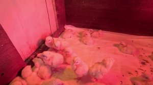 Работа идёт полным ходом.. Удовольствием не из дешёвых...