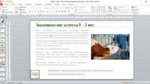 Урок 1. Экономика выращивания телят