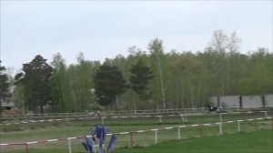 03.05.2025 - заезд 6: квалификационный для жеребцов и кобыл орловской породы 2-х лет