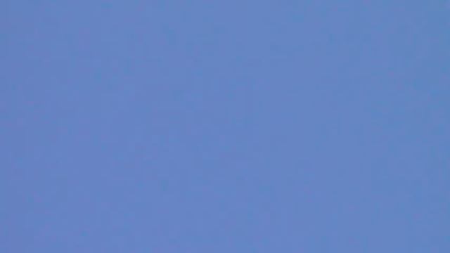 Пермские голуби. смотреть онлайн