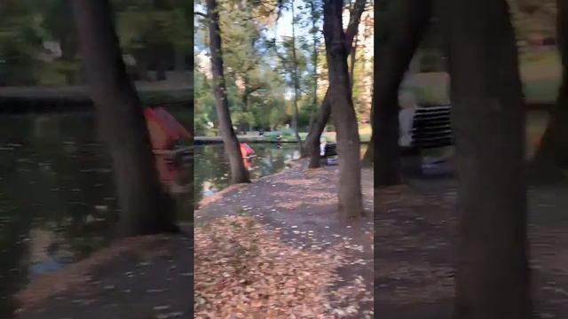 Осень в Воронцовском парке #москва #осеньвмоскве #осен