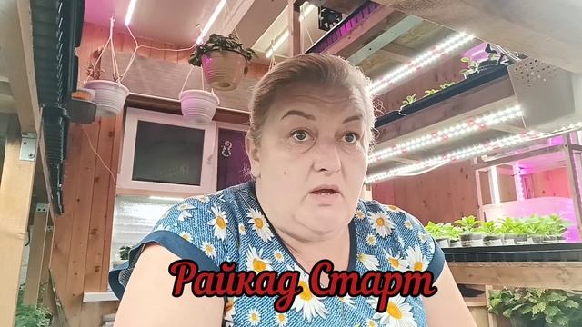 😱Ну ооочень дорого сохранять и выращивать растения? смотреть онлайн