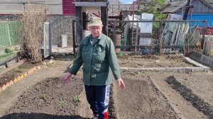 Огородные хлопоты перед 9 мая. У нас тут лев лежит.